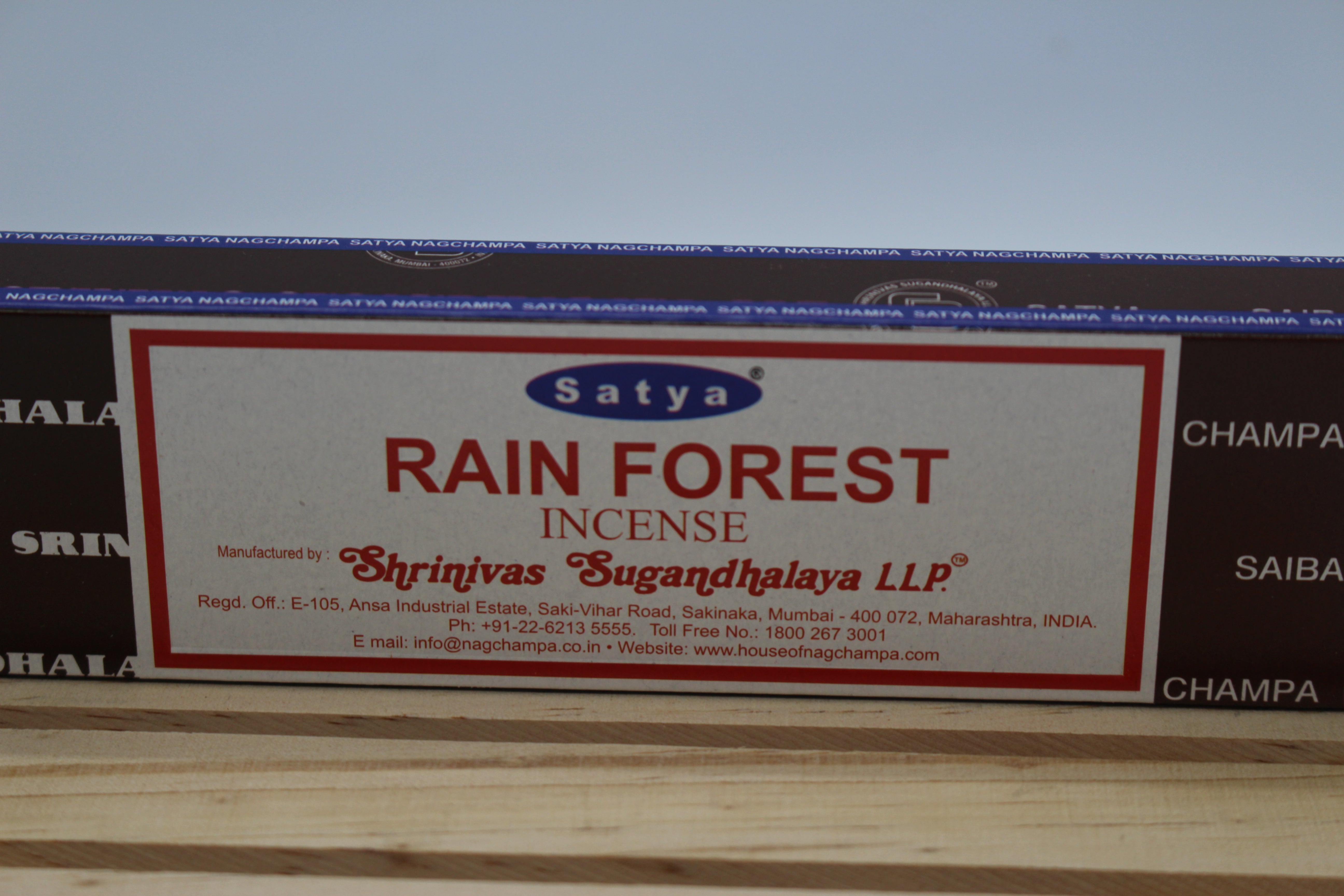 _Satya- Rain Forest_