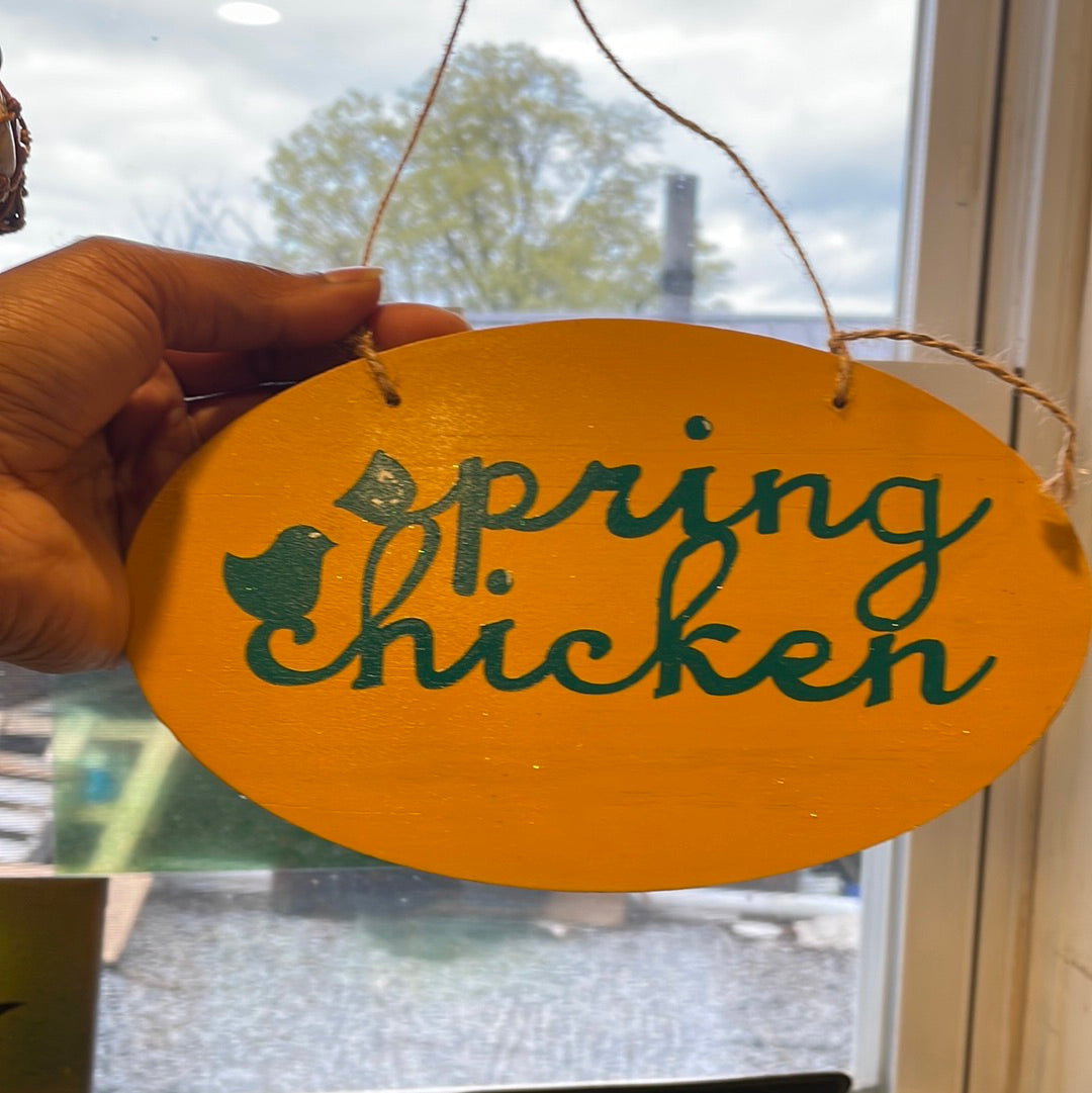 Wall hanger spring chicken